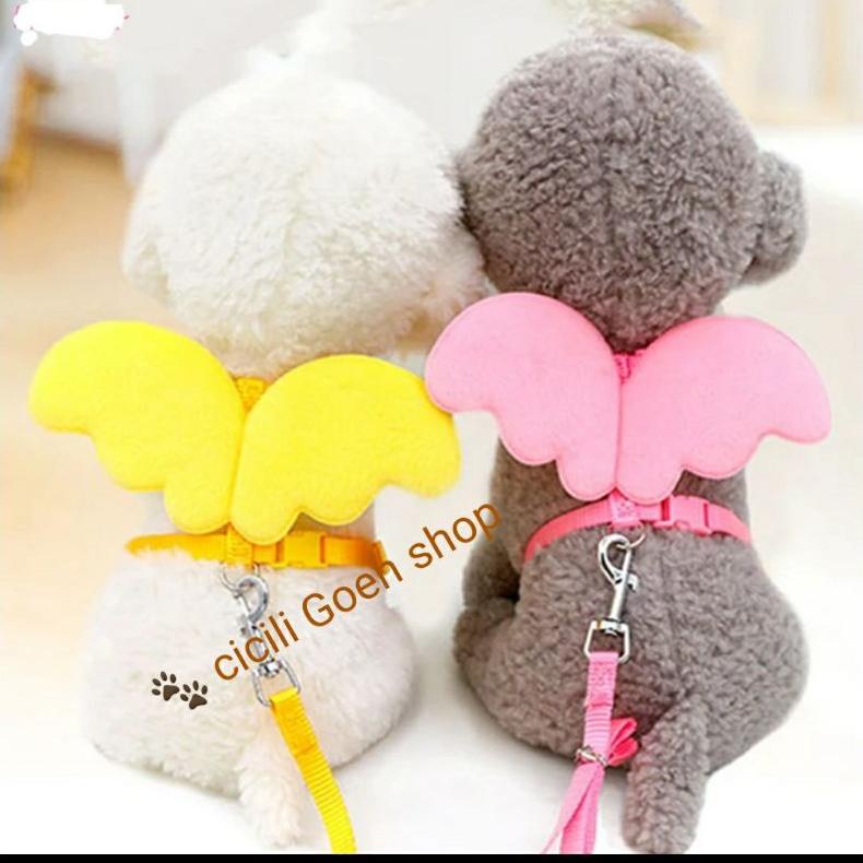 Promo Bulan Ini Tali Tuntun Harness Sayap Angel Anjing Kucing Kelinci Musang