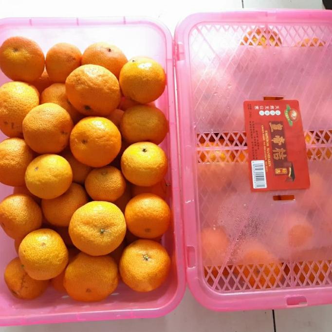 

Grosir Murah 2 Box Buah Gift Jeruk Santang Daun Parcel Imlek Sinchia A Limited Edition
