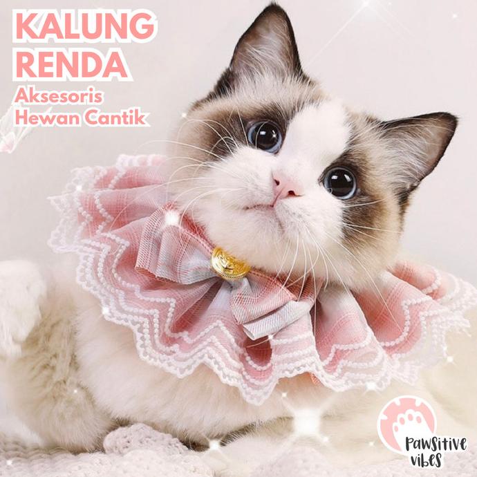yan Kalung Renda Kucing Anjing - Kalung Collar Anjing Kucing Peliharaan