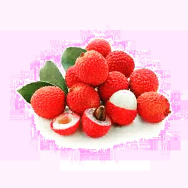 Bibit Tanaman Buah Leci  Bibit Buah Murah  Bibit Leci Murah  -Terlaris