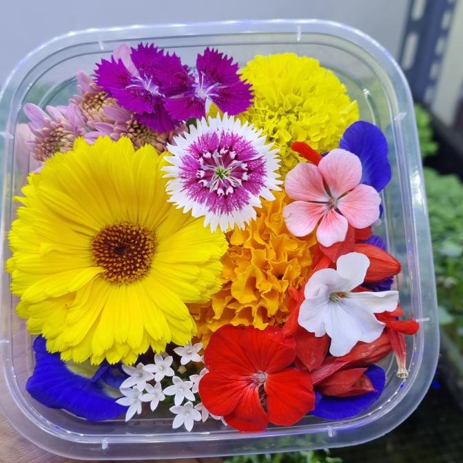 

Baru Mix Edible Flower Fresh