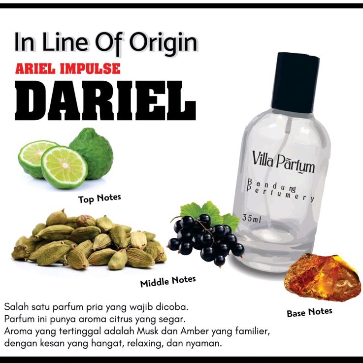 Parfum ARIEL IMPULSE - (DARIEL) villaparfum