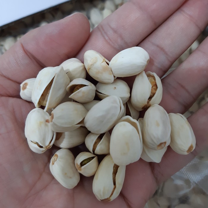 

Kacang - Kacang Pistachio Panggang Roasted Pistachio 500Gr