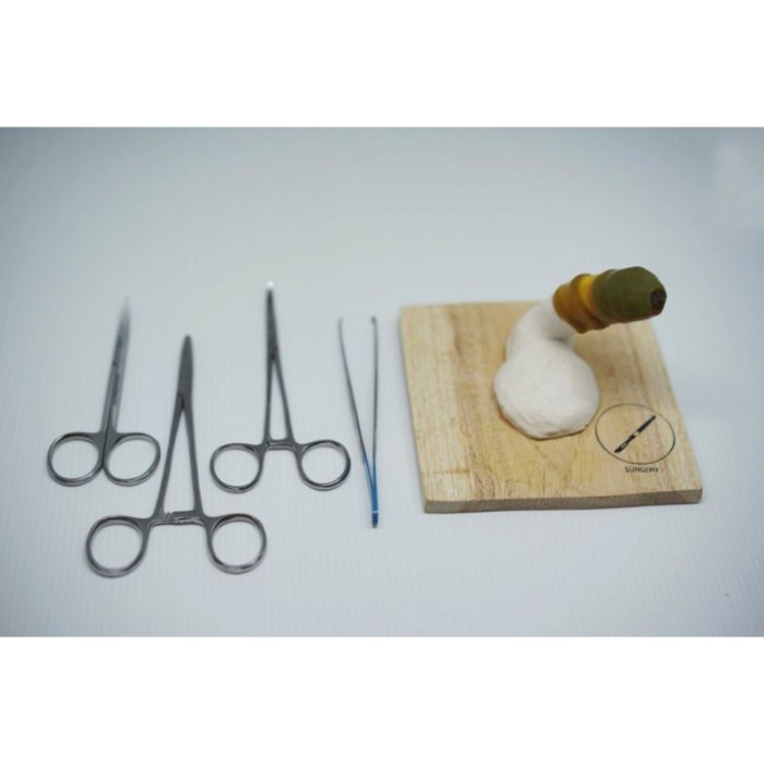 Promo Manekin Sirkumsisi / Manekin Khitan / Manekin Sunat Full Set