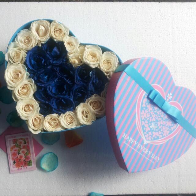 [Baru] Bunga Mawar Biru Asli Terbaru