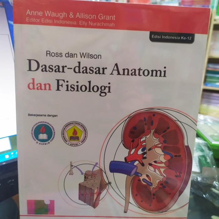[COD] Dasar-Dasar Anatomi Dan Fisiologi Original Terbaru