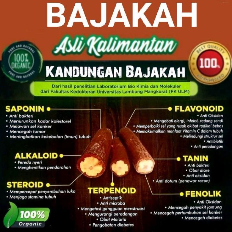 

Terlaris Akar Bajakah Kalalawit Merah Asli Kalimantan (1kg)