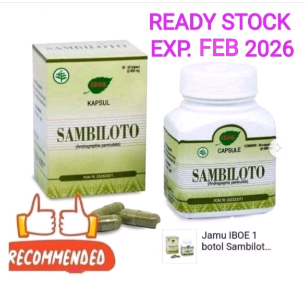 

Jamu IBOE 1 botol Sambiloto Kapsul Herbal Supplement 30 kapsul