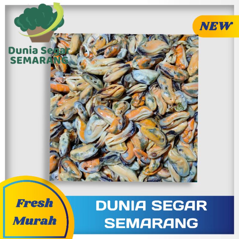 

Kerang Ijo Kupas 250 gr
