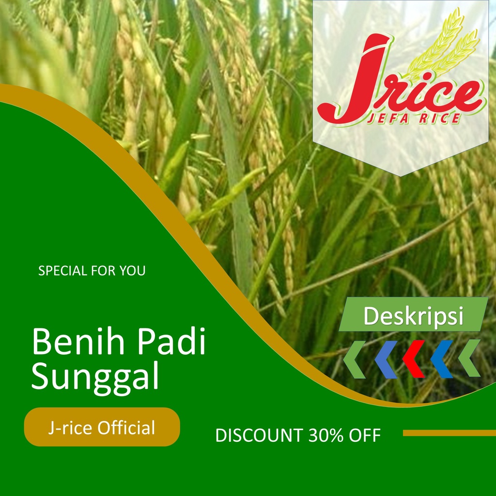 BENIH PADI SUNGGAL LABEL PUTIH KEMASAN 5 KG ORIGINAL BIBIT PADI UNGGUL