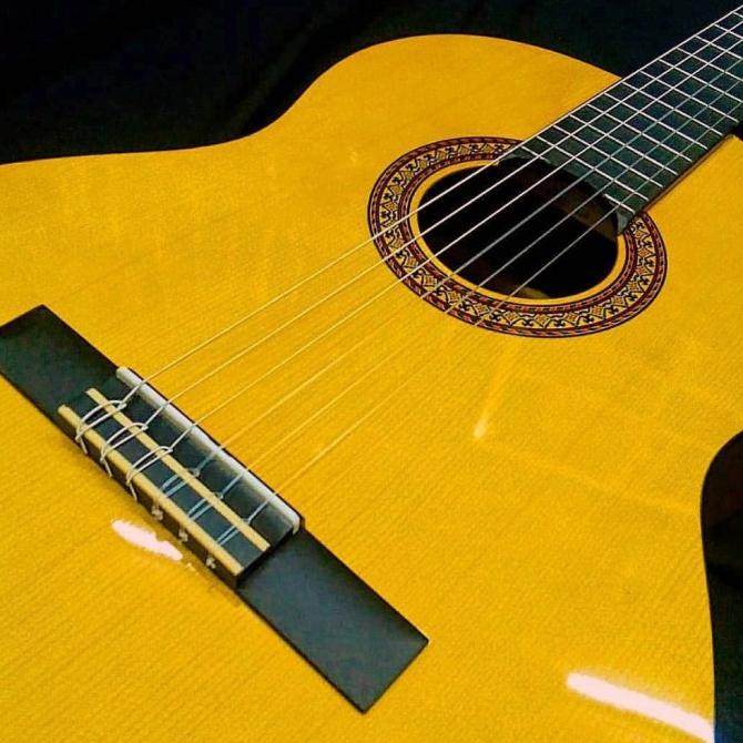 

Gitar Guitar Yamaha Akustik C315/C -315 Original+ Tas Soft Case+Pick O Berkualitas
