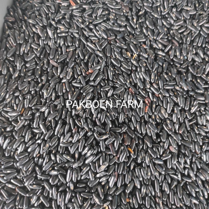 

Ecer Benih/Bibit Kacang Buncis Perancis Siap Tanam Kemasan 250Gram