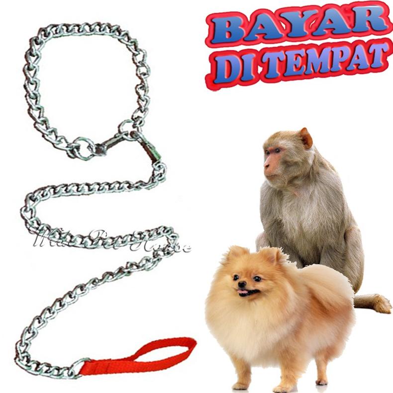 TERLARIS RANTAI HEWAN ANJING MONYET MUSANG SALE