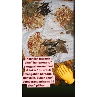 

Hot - OBAT DIABETES KENCING MANIS/OBAT HERBAL BELI 3 GRATIS 1 AKAR RACIKAN RAMUAN DAYAK TRADISIONAL ..