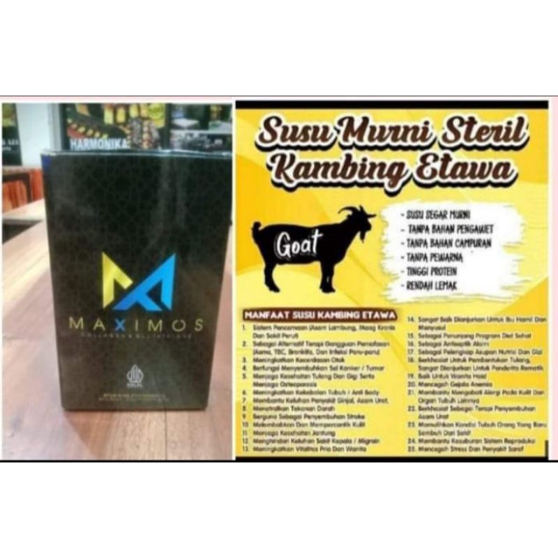 

susu kambing etawa maximos