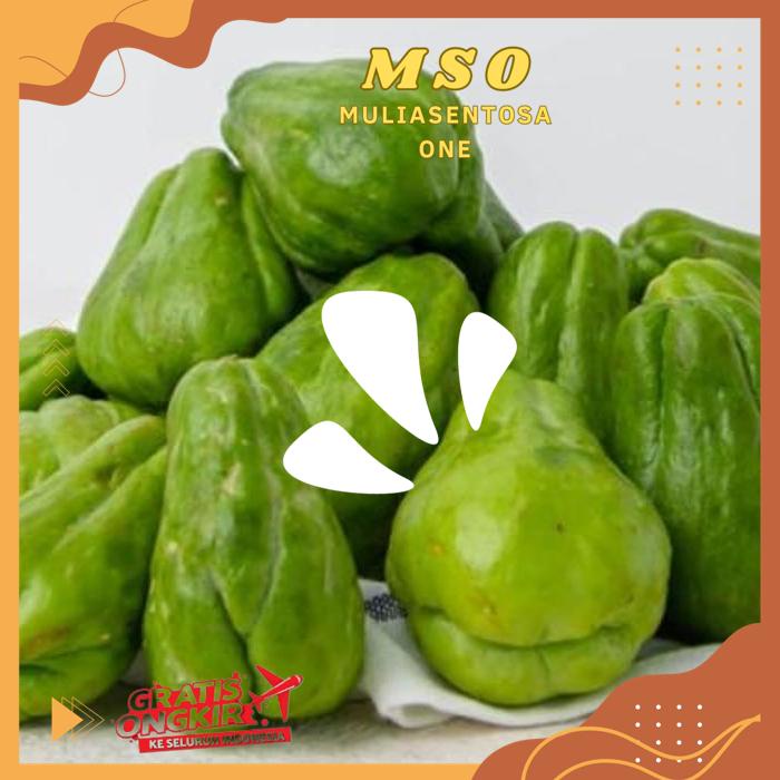 

LABU SIAM 450 - 500 GR ( FRESH CHAYOTE ) HIGHT QUALITY PRODUK !!