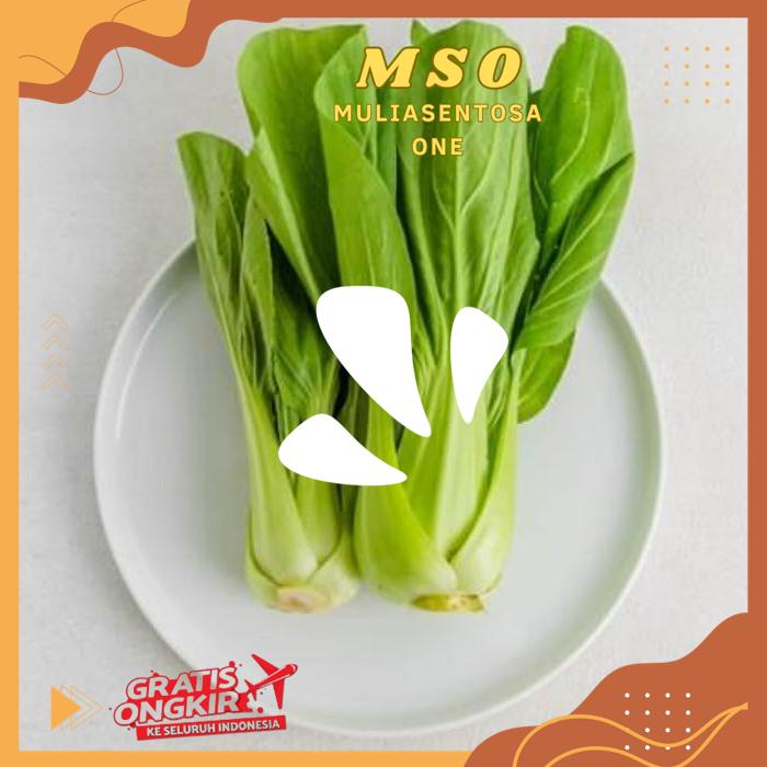 

SAYUR PAKCOY 225 - 250 GR ( GREEN BOK CHOY ) THE BEST SELLER !!