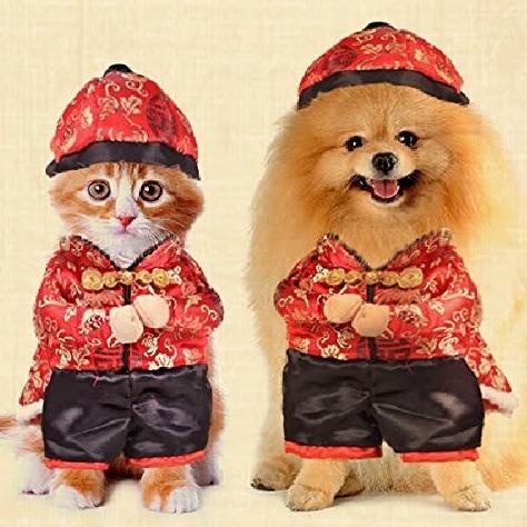 KUYYY BAJU SINCHA ANJING DAN KUCING JANTAN TYPE B / BAJU IMLEK ANJING RIDARHENDI13