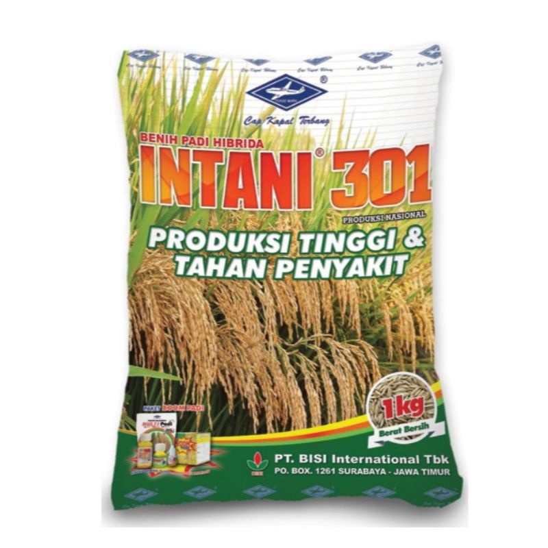 BENIH PADI INTANI 301 HIBRIDA CAP KAPAL TERBANG 1 KG