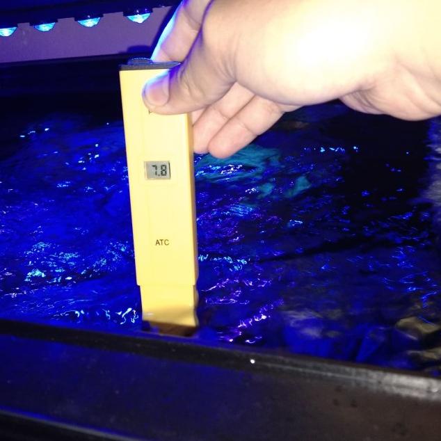 Alat ukur PH / tester PH air untuk aquarium laut Promo