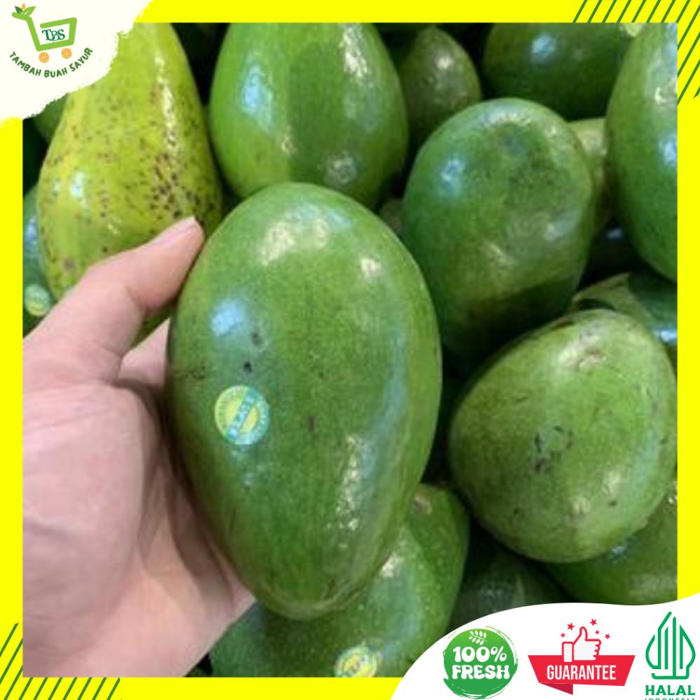 

Ready BUAH ALPUKAT | ALPUKAT MENTEGA 1 KG
