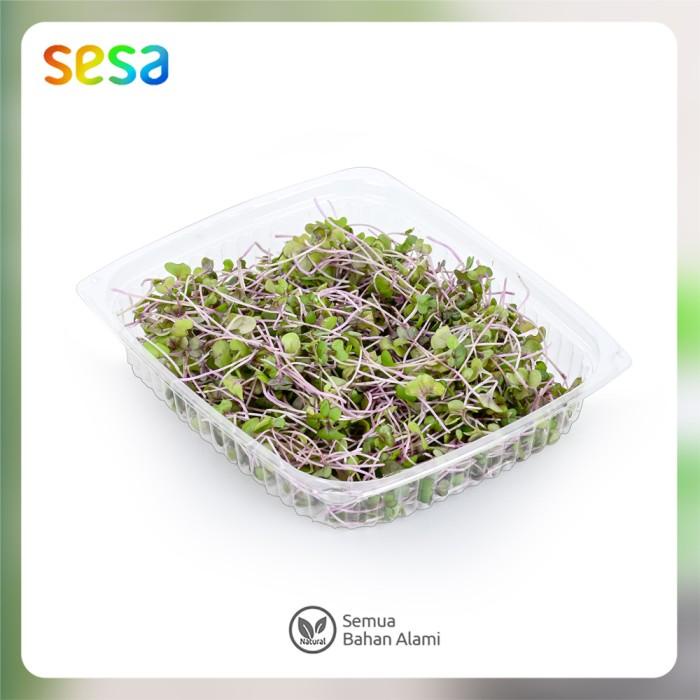 

Microgreens Red Cabbage 50 g Best Seller