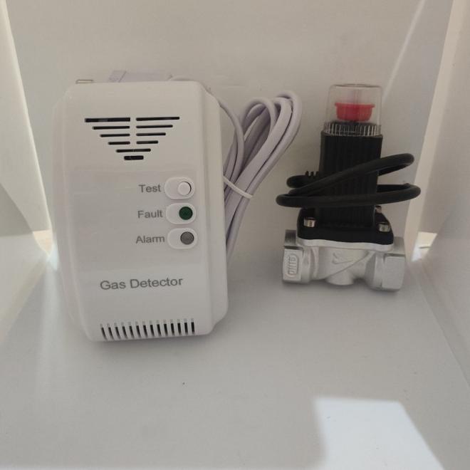 Gas Detector Gas Detektor Alarm Gas + Solenoid Alarm Gas Detector