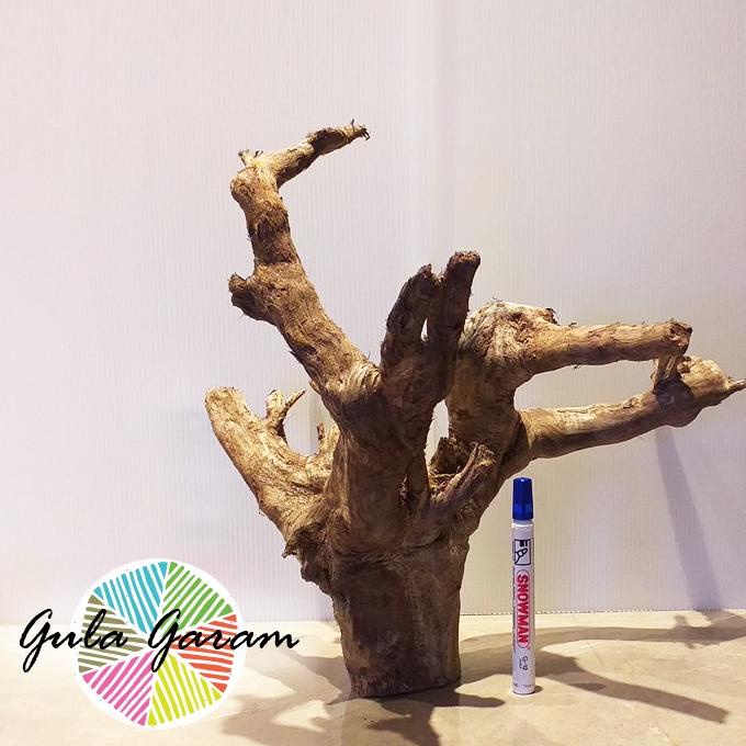 Kayu Aquascape Dahan Santigi XL Non Akar Hiasan Aquarium Tanaman Air