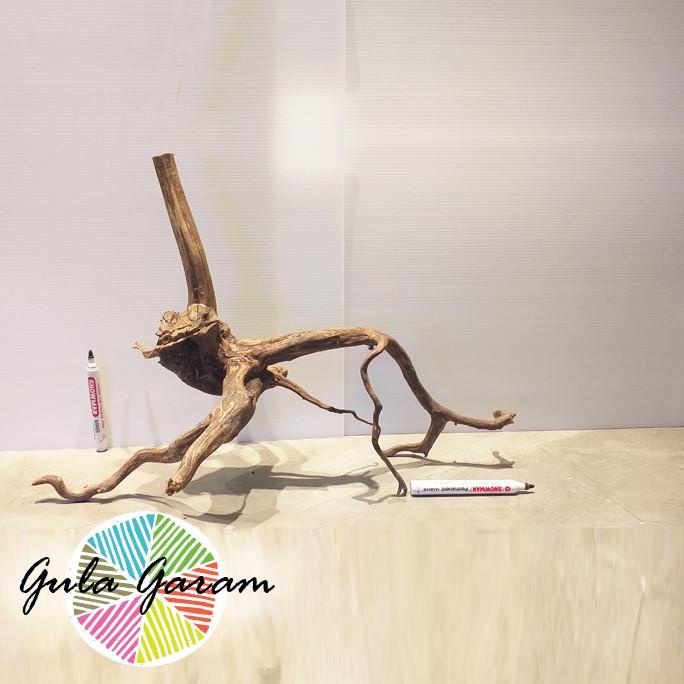 Kayu Aquascape Akar Santigi XL Paduan Tanaman Hias Aquarium atau Kolam