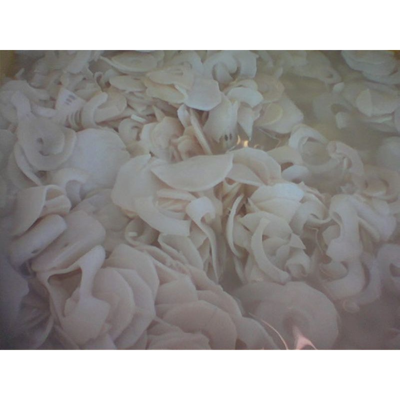 

REBUNG/TUNAS BAMBU IRIS