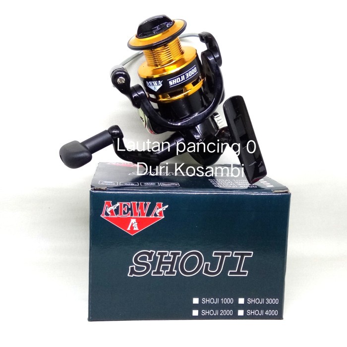 Reel Aewa Shoji 2000/3000/6000/Reel Spinning