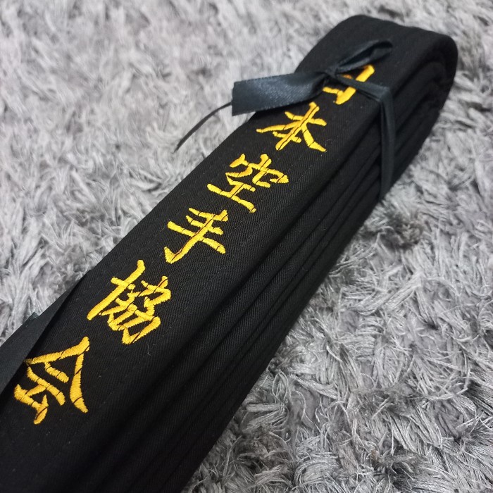 sabuk hitam karate