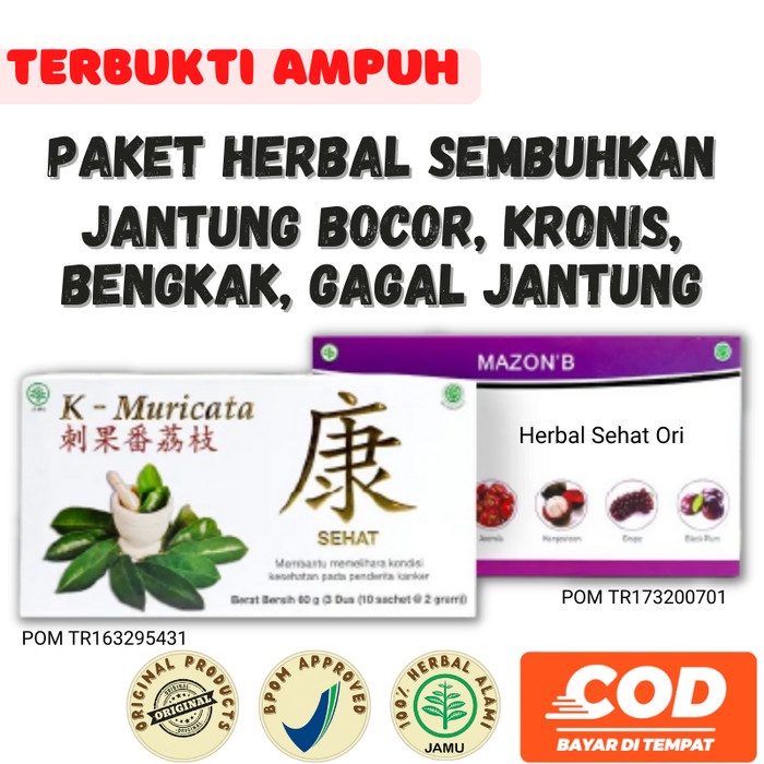 Obat Herbal MAZON B dan K Muricata Herbal Penyakit Jantung