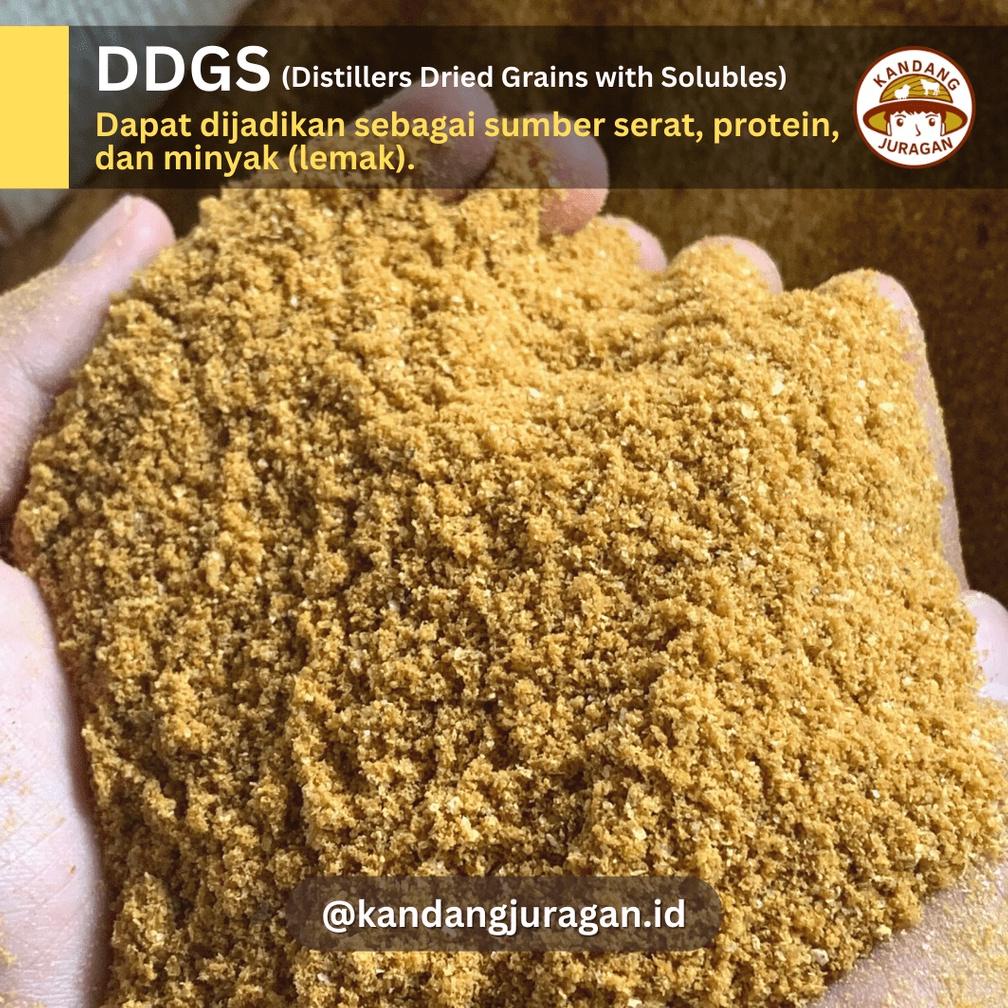 New DDGS Jagung 10Kg (Pakan Ternak)