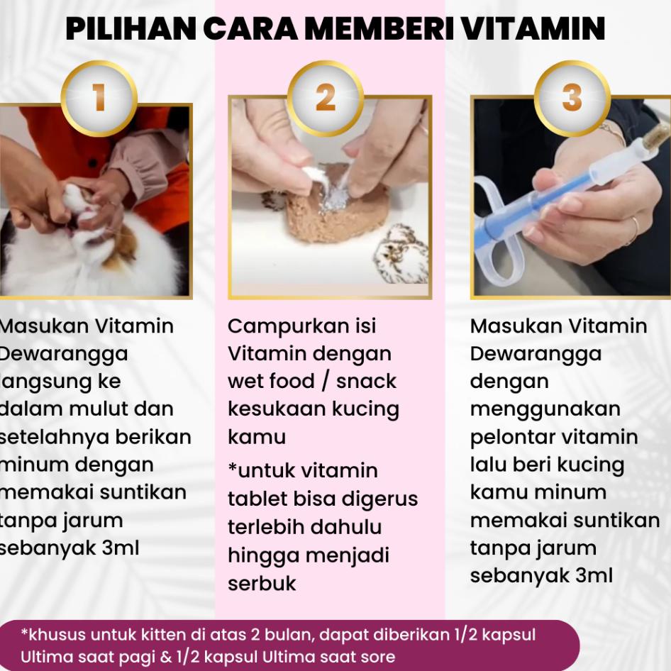 Vitan Bulu Kucing Rontok Dan Jamur Dewarangga - Obat Bulu Kucing Rontok