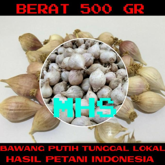 

Bawang Putih Tunggal Bawang Lanang Lokal 500 gr