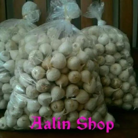 

BAWANG PUTIH TUNGGAL/BAWANG LANANG SUPER UKURAN BESAR 1KG