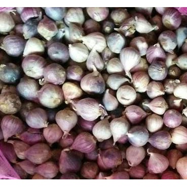 

Bawang Putih Tunggal/Lanang 250gr
