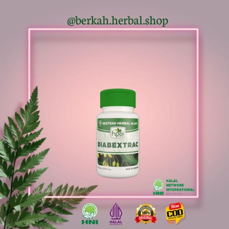 Diabextrac HNI HPAI || Untuk Diabetes
