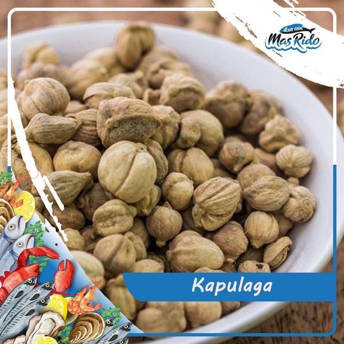 

Termurah Kapulaga Kapolaga Kapol Cardamon Kering Rempah Bumbu Dapur Penyedap