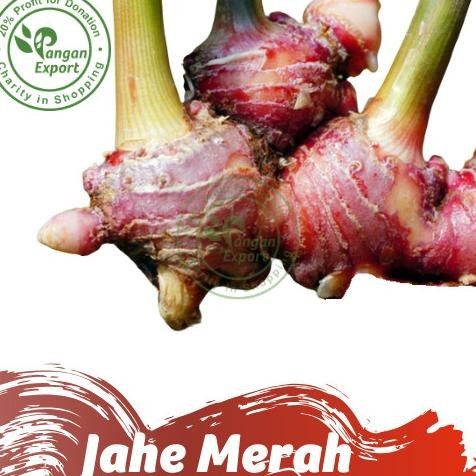 

Termurah Jahe Merah / Red Ginger / Empon Rempah Bumbu Dapur by Pangan Export