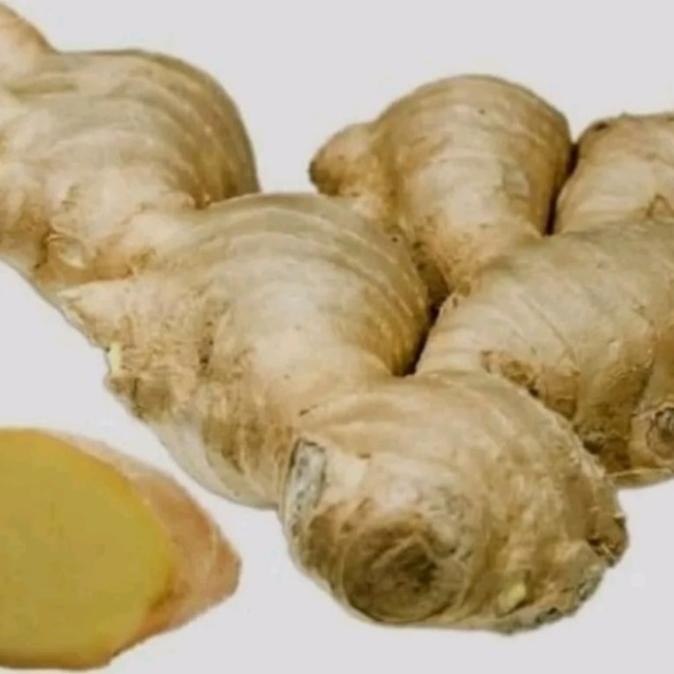 

Termurah Lempuyang Segar/Obat Herbal rempah 1 kg