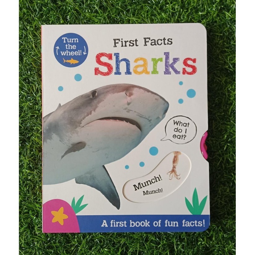 [COD] First Facts Shark Diskon