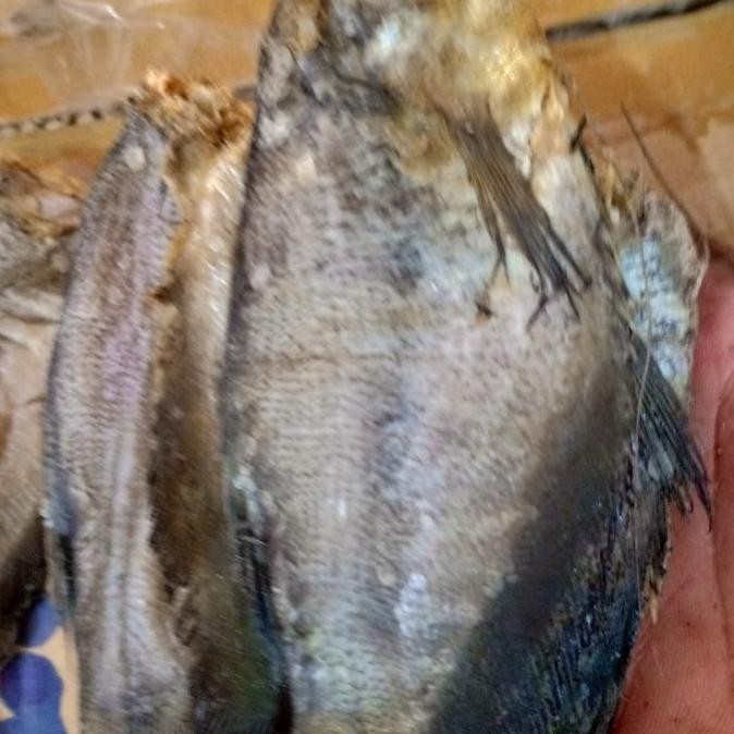 

ikan asin sepat besar per 500gr
