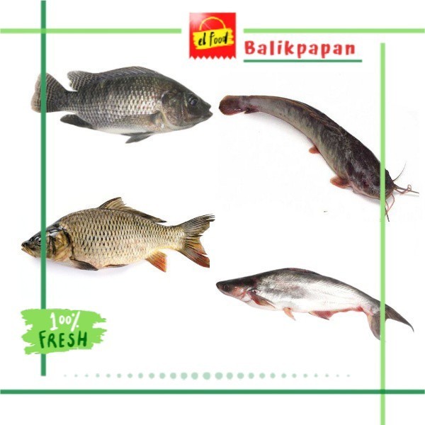 

IKAN AIR TAWAR SEGAR 1Kg /ELFOOD/Daging