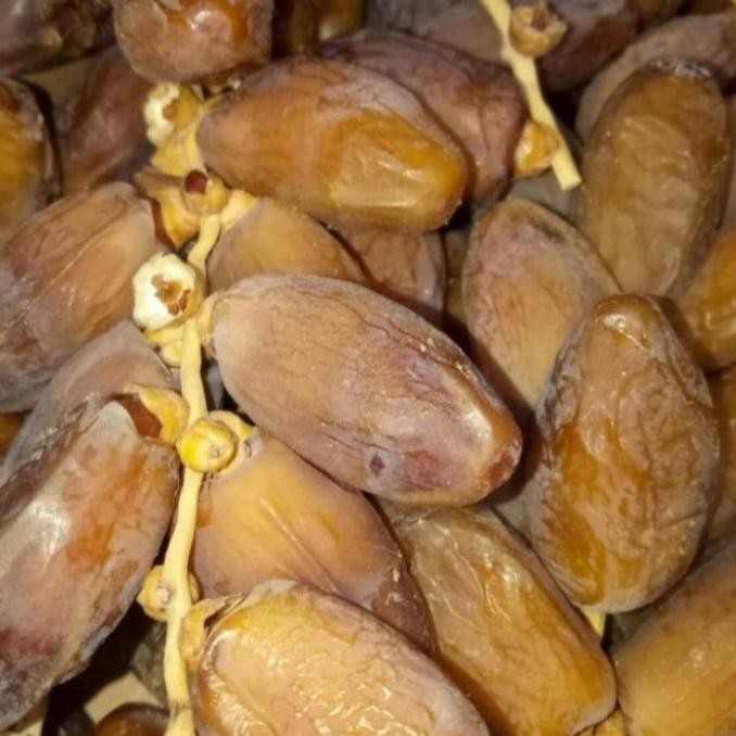 

Kurma Tunisia Tangkai 1Kg Palm Fruit / Tangkai Curah Murah