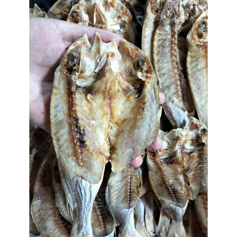 

Ikan Asin Tui(Karang Tui)