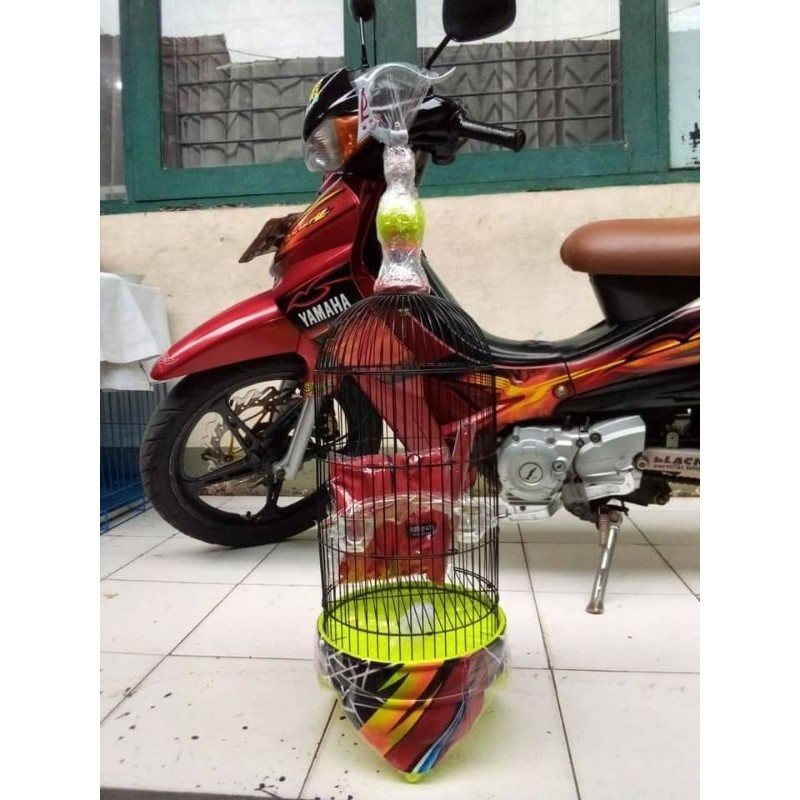 PROMO KANDANG hellopet sangkar pleci kandang pleci