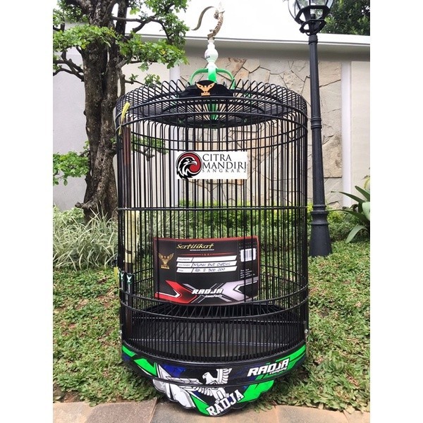 PROMO KANDANG Sangkar Kandang Burung Murai Radja Decal PVC Original Asli