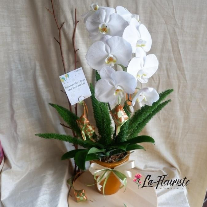 

(SALE) BUNGA RAMADHAN | HAMPERS LEBARAN | IDUL FITRI | EID MUBARAK | ORCHID